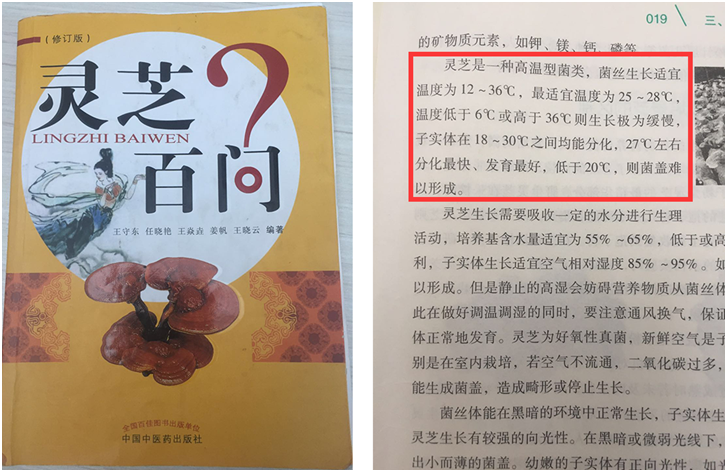 专家披露：低温环境是灵芝生长的不利因素