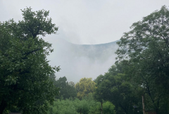 这两天的泰山采芝节，恍如行走在画里